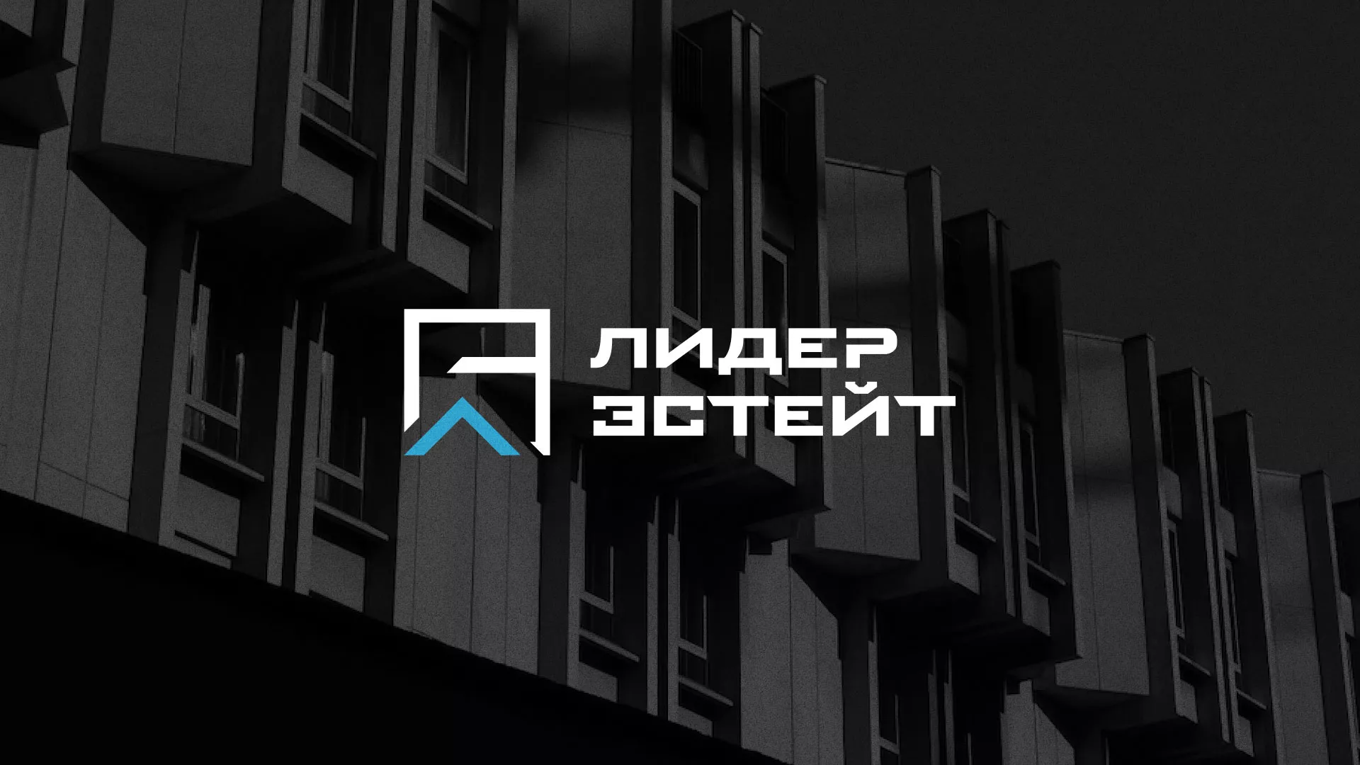 Разработка логотипа агентства недвижимости «Лидер Эстейт» в Рассказово